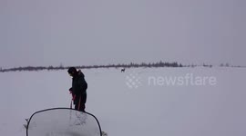 Team of locals in Russia work together to rescue reindeer trapped in snow-covered swamp