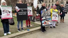 Animal rights activists protest against MBR Acres and animal experiments, London