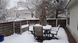 Super Bowl Sunday Snowstorm - 2/7/21; Frederick, Maryland