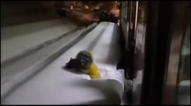 Commuter problems, Russia style: Passengers laugh as they disappear into snowdrifts after getting off train