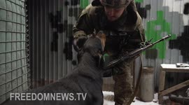 'Trench pups' offer Ukrainian soldiers comfort as tensions with Russia remain