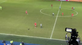Cat invades pitch at Hillsborough Stadium in Sheffield, England
