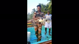 Olive Ridley turtle rescued after getting stuck in abandoned fishing net in South India