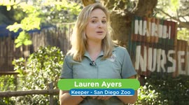 Come Along on the Journey of Breakfast Time for these Cute, Hoofed Baby Animals
