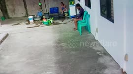 Hero dog saves pregnant woman from deadly cobra