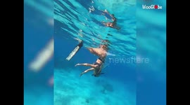 'Diver narrates the happenings of his fun-filled underwater adventure in Hawaii
'