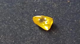 Man finds 4.57 carat yellow diamond in central India
