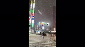 Japan: Warning Issued As Winter Storm Brings Heavy Snow To Tokyo