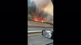 Massive brush fire erupts in Araucania, Chile