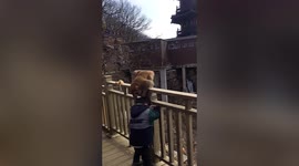 Monkey grabs boy's hair after he attempted to stroke the primate in China