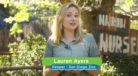 Daily Dose of Adorable: Zookeepers Bottle Feed Hoofed Baby Animals