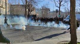 Riots, tear gas and fireworks as French 'Freedom Convoy' enters Paris