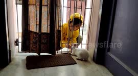 A funny boy moments captured by mobile phone playing with rabit together