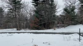 Snow Falling Increasing All Day in Tyngsborough Massachusetts