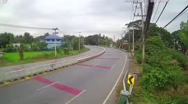 Driver miraculously survives after skidding on bend and smashing into electricity post