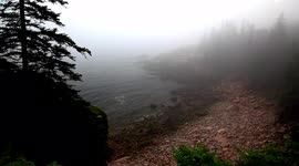 Fogy day in summer in Acadia National Park near Oyster Point view from above