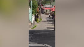 Pet dog races owner riding a bike up a steep hill