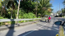 Pet dog steers motorcycle while sitting on owner's lap