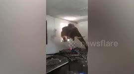 Hungry wild elephant raids military base in Malaysia in search of food