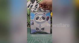 Chinese man creates Beijing Winter Olympics mascots out of sand