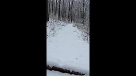 Ever wonder how it would be to walk through a snowy forest being the first person to walk there after a storm?