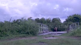 how interligent elephants crossing a bridge to go to village- with natural foot step sounds