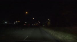 A dog escaped injury in Houston after it was almost hit by a car