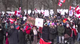 Hundreds gather in central Toronto in support of  'Freedom Convoy'
