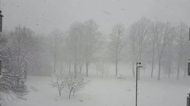On a February day, heavy snow falls in a park in Stockholm, Sweden