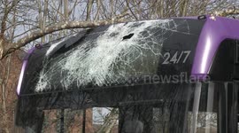Winds brought by Storm Dudley cause tree to fall on bus in Derbyshire
