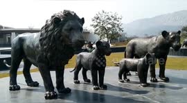 The Rajgir Wild Life Zoo Safari has attraction for tourists in Northern India