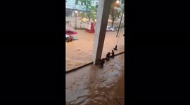 Distressing footage shows trapped people in Brazilian floods that have killed at least 78