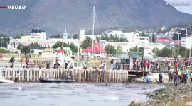 Dozen of Confused Dolphins Narrowly Escape Death After Coming Too Close to Land