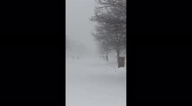 Winter storm moves into Central Illinois, brings heavy snow