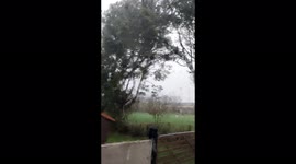 Storm Eunice Trees move wildly in storm winds in Wales UK Carmarthenshire