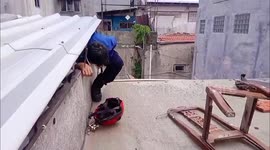 Firefighters evacuate kitten trapped on second floor roof in Gambir, Central Jakarta