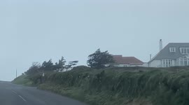Trees succumb to sheer strength of Storm Eunice winds battering Cornwall