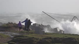 Family and dog brave Storm Eunice winds in Dorset despite red weather warnings