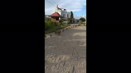 Hundreds of ducks waddle in single file across road in Indonesia