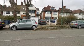 Tree Falls And Smashes Brutally Into Car Amid Wild Storm Damage In London