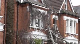 Storm Eunice causes tree to fall on house in Herne Hill, London