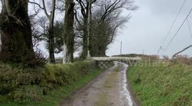 Huge fallen tree blocks road in Cornwall as Storm Eunice continues to slam UK