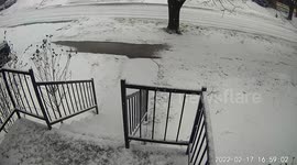 Timelapse shows gradual build-up of snow as winter storm hits Ontario