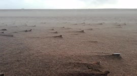 Storm Eunice batters Exmouth beach with strong winds and creates fantastic sand storms