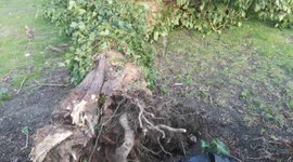 Strong winds cause damage in Woodford East London