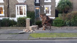 Storm Eunice: Large tree narrowly misses two houses in Dalston, east London