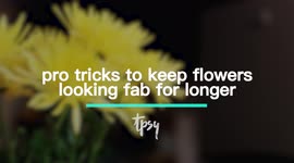 Pro Tips For Keeping Your Flowers Looking Fresh All Year Round