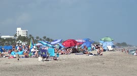 South Florida is Seeing a Pre-Covid Level of Tourism this President's Day Long Weekend as Omicron Winds Down