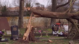 Aftermath of Storm Eunice - tree falls on cemetery graves and caravan park in Kent, UK