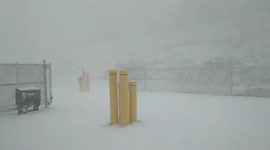 Snow squalls hit US northeast, bringing whiteout conditions